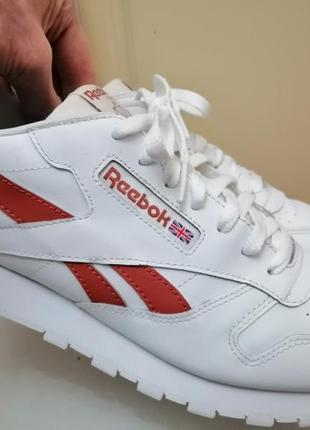 Кросiвки reebok classic leather white fy94042 фото