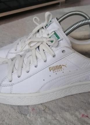 Кроссовки puma basket classic2 фото