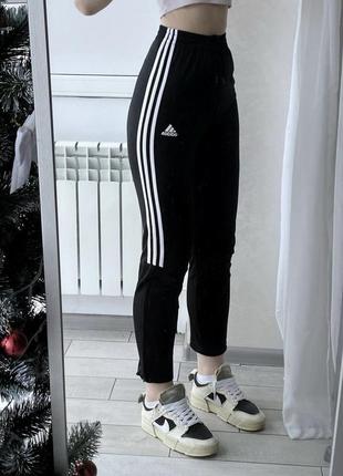 Спортивные штаны adidas3 фото