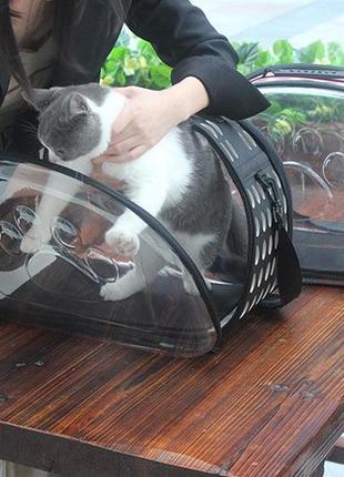 Брак тріщина сумка переноска pet прозора для домашніх тварин ( код: ibh006b-1 )9 фото