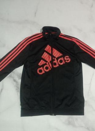 Олимпийка adidas