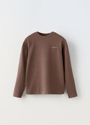 Реглан zara