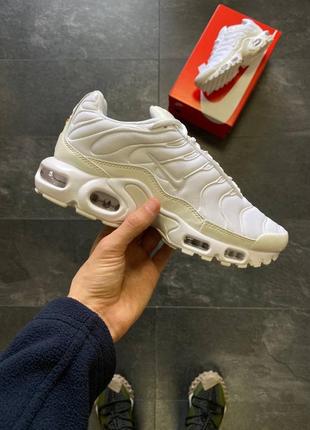 Жіночі кросівки nike air max plus