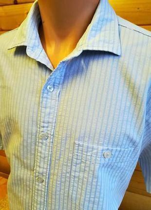 Классическая хлопковая рубашка в полоску французского бренда david jones3 фото
