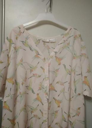 Красивая блуза, рубашка, размер 58-604 фото