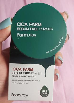 Розсипчаста пудра з цинтелою farmstay cica farm sebum free powder