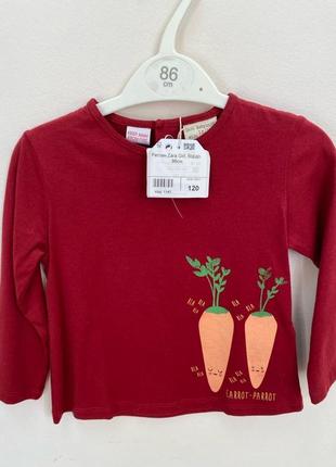 Реглан для девочки zara