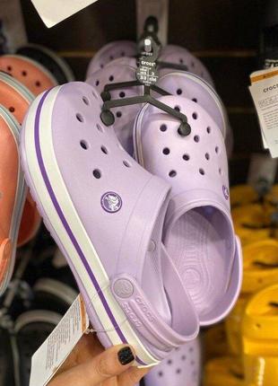 Крокс крокбенд клог лавандові / пурпурні crocs crocband lavender / purple7 фото