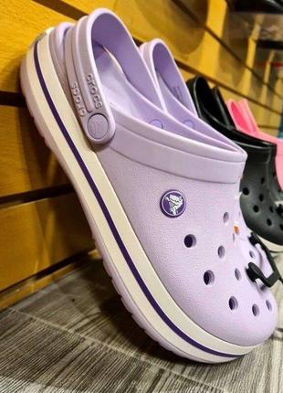 Крокс крокбэнд клог лавандовые / пурпурные crocs crocband lavender / purple1 фото