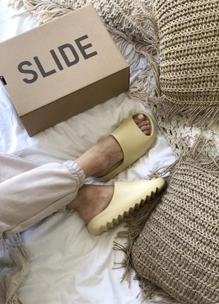 Шлепанцы adidas yeezy slide bone шльопанці шльопки шлепки сланцы сланці7 фото