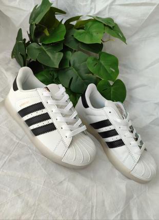 Adidas superstar2 фото