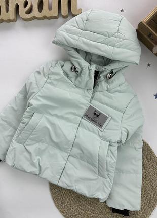 Демі куртка