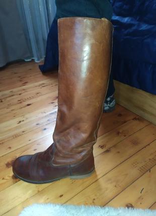 Сапоги осень весна