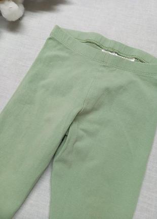 Лосины фисташковые "h&amp;m"