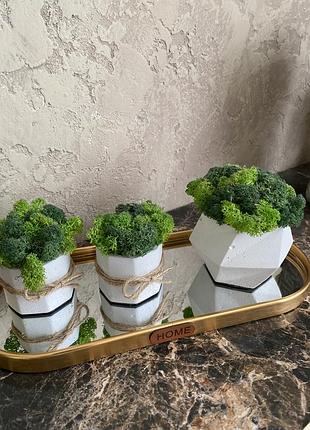 Поднос зеркало