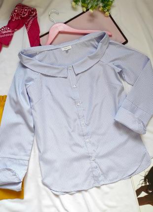 Сорочка в смужку біло-блакитна з коміром відкритими плечима на гудзиках блуза подовжена