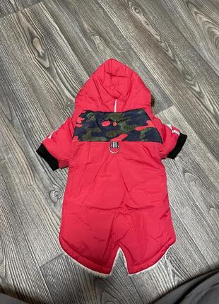 Теплая одежда для собак