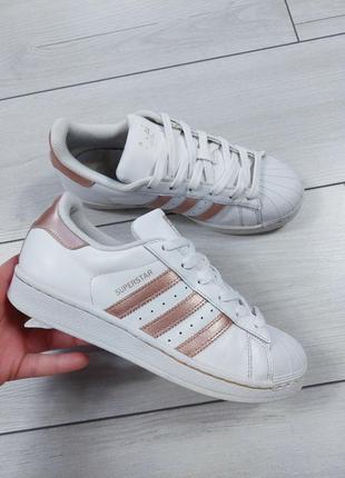 Оригинальные кроссовки adidas superstar