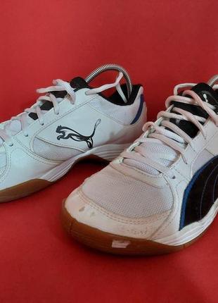 Футзалки оригинал puma 38р. 24 см