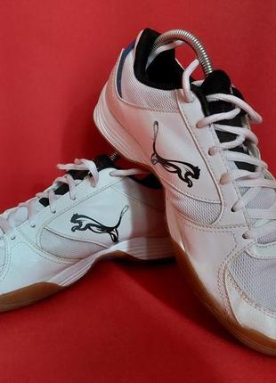 Футзалки оригінал puma 38р. 24 см3 фото