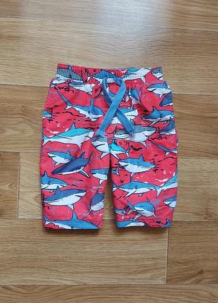 Классные пляжные шорты