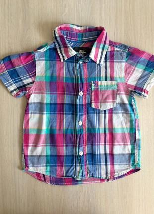 Сорочка поло l.o.g.g. h&m 104р.