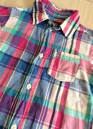 Сорочка поло l.o.g.g. h&m 104р. 2