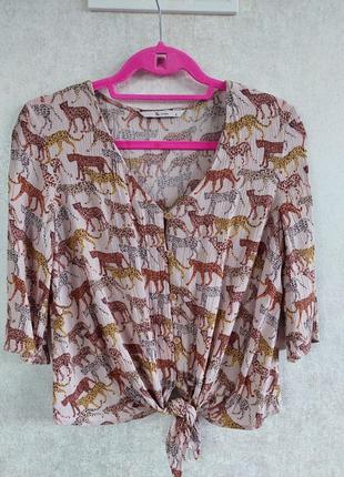 Укороченная блуза в принт леопардов tu( размер 36-38)3 фото