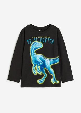 Реглан h&m для хлопчика 2/4 роки (98/104) з довгим рукавом