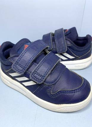 Кроссовки adidas1 фото