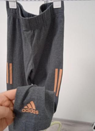 adidas лосины на девушку5 фото