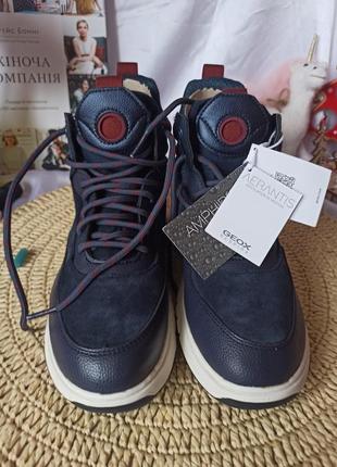 Ботинки, кроссовки geox2 фото
