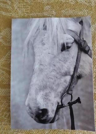 "конь", картина без рамки, холст.1 фото