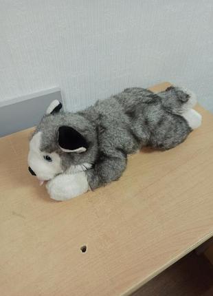 Мягкая собака, щенок хаски