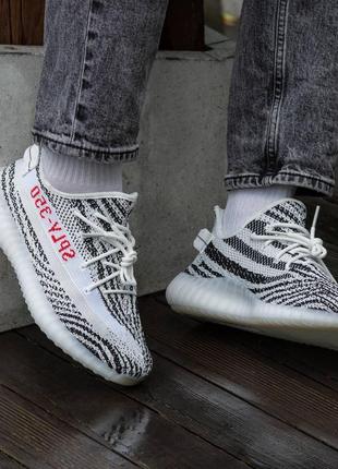 Жіночі кросівки 
adidas yeezy boost 3509 фото