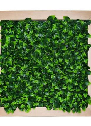 Фитокартина engard "сочная листва" 55х55 см (fp-11)