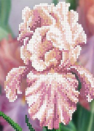 Схема для вышивки бисером на холе 21х21 см (цветы, петлицы, ирис)