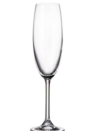 Набір келихів для шампанського 220 мл gastro colibri bohemia 4s032/00000/220