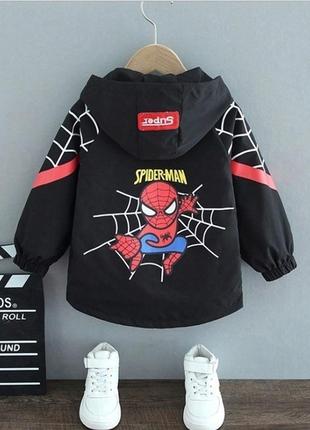 Стильна улюблена вітрівка людина павук!