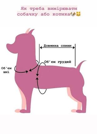 Светр для маленької собачки котика кота кішки сфінкса одяг для тварин8 фото