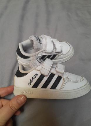 Кроссовки adidas 22 p