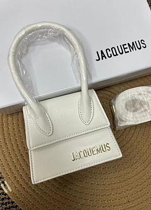 Маленькая сумка jacquemus 4