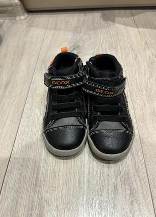 Ботинки geox, 22 размер