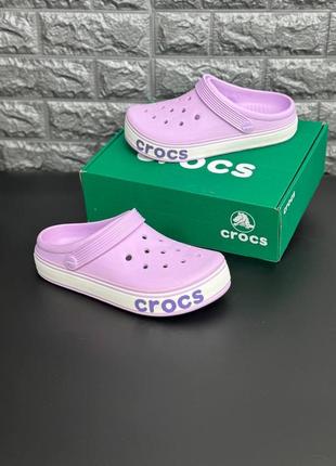 Крокс жіночі crocs фіолетові шльопанці крокс самбо