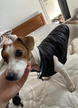 Куртка двостороння для собак