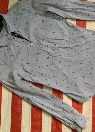 Актуальная рубашка блуза в полоску zara8 фото