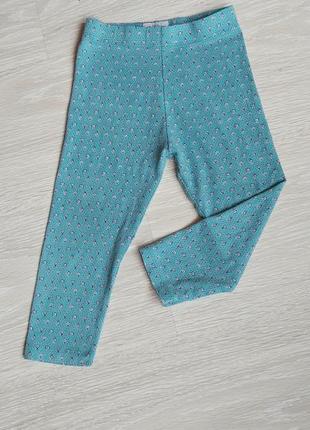 Лосинки від next