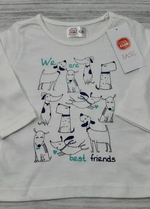 Кофта регланчик cool club