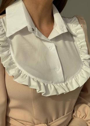 Жіноча романтична бежева сукня міді з білим комірцем і довгим рукавом8 фото