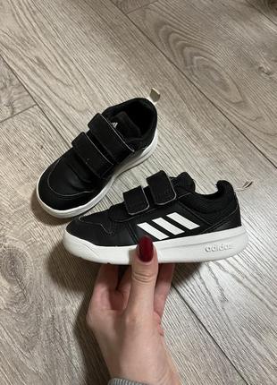 Кросівки adidas